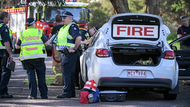 More than 30 firefighters were called to the park along with police. 