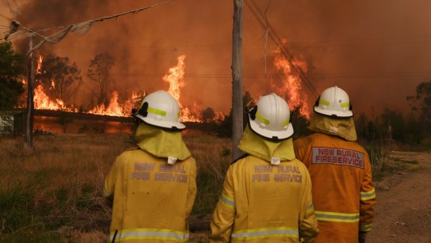 The summer's bushfires have torched about 12 million hectares across the country.