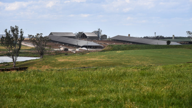 The Perich family's large farm neighbours the site of the new airport in western Sydney.