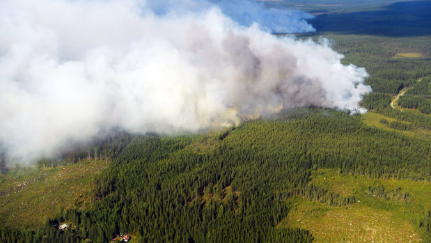 Smoke billows from a fire outside Ljusdal, Sweden as the country fought its most serious wildfires in decades, including blazes above the Arctic Circle, last year.