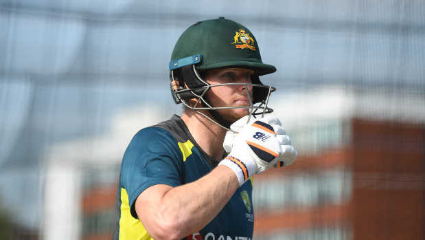 Steve Smith missed all three of Australia's ODI matches, though the team had hoped he would be OK to play in the third match.