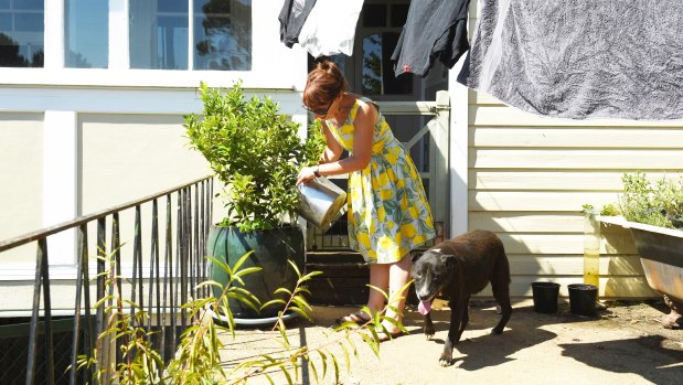 Marnie O’Mara watering her plants and gardens using buckets with extra rain water caught from hand washing and laundry. 