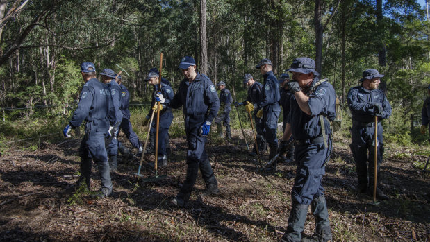 Police and SES, in June last year, search bushland abutting the street from which William disappeared.