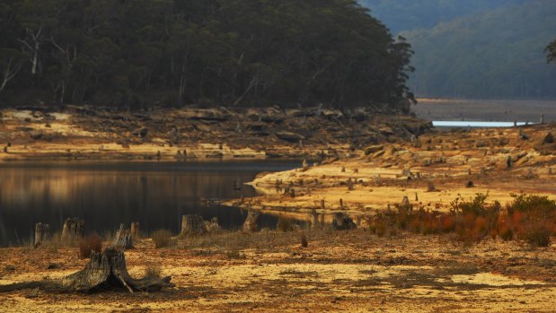 Cordeaux Dam is sitting on 40 per cent full, while the overall network of Sydney's dams is just below 54 per cent full. 