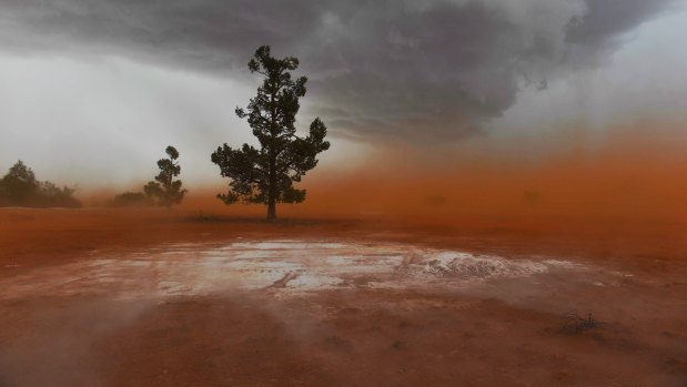 Dust near Narrandera: cooler weather doesn't mean the fire season is over.