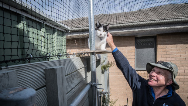 Thomas Graham, who says he's installing more cat containment spaces in older suburbs where laws about roaming cats aren't in place.