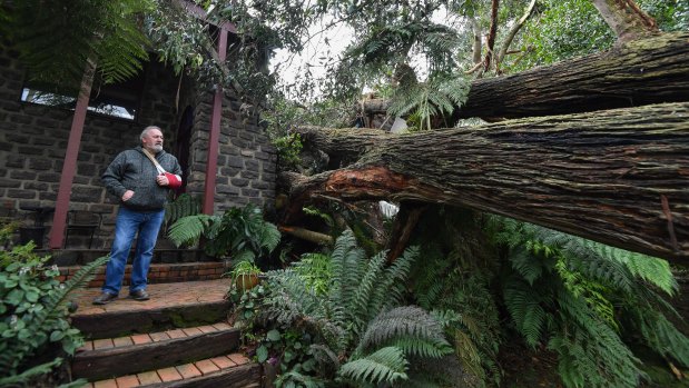 John Carlyle inspects the damage.