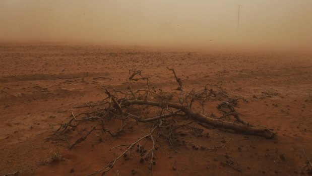 Parched farmlands near Narromine.