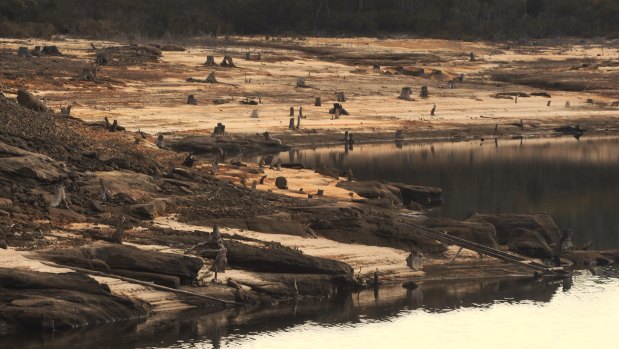 Cordeaux Reservoir was at 40 per cent full as of May 28, compared with an average of 53.5 per cent capacity across Sydney's dams.