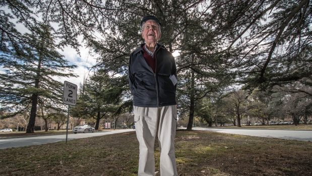 Landscape historian Dr John Gray OAM among the 96-year-old Charles Weston cedars on Commonwealth Avenue earmarked to be removed for light rail stage two.