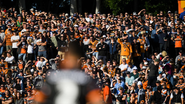 Hallowed ground: A big crowd turned out at Liechhardt Oval for Robbie Farah's 250th game.