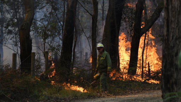 Firefighters are seen battling a bushfire in Buninyong.