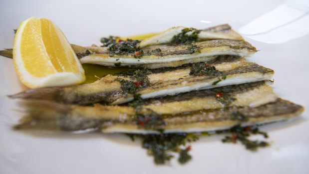 Grilled King George Whiting with salmoriglio and lemon.