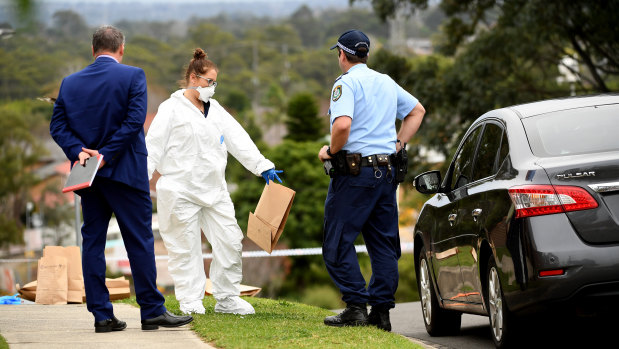 Forensic police work at the scene of the stabbing in Carlingford.