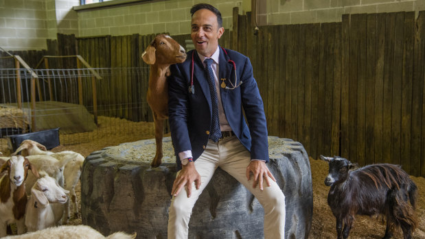 Chief veterinarian Mark Schembri will look after 14,000 animals over the next 12 days at  the Sydney Royal Easter Show. 