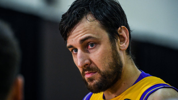 Sydney Kings' Andrew Bogut will be coming to free-to-air screens this season.