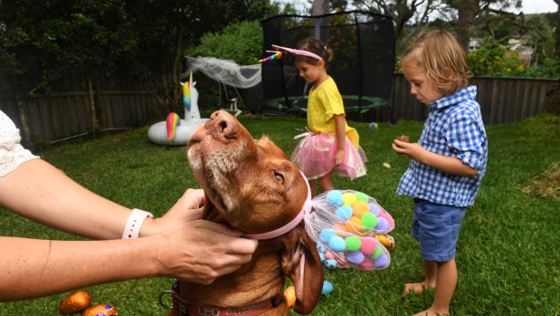 The coronavirus pandemic has curtailed the Easter plans of Georgia Carver's family.