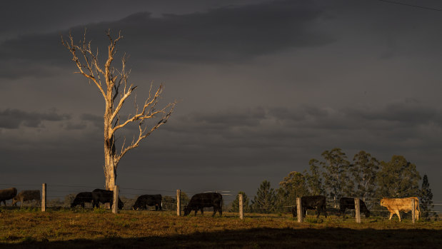 Temperatures are rising over land much faster than the global average with climate change. Australia is one nation where arid regions are expanding, the IPCC says in a new report.