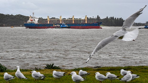 Portland Bay sails into Port Botany.