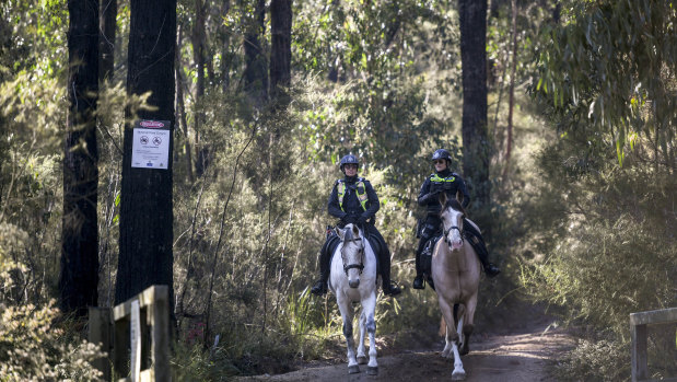 Mounted police searching along Forest Road near Labertouche on Monday as part of investigation into the suspicious disappearance of Dalibor Pantic.