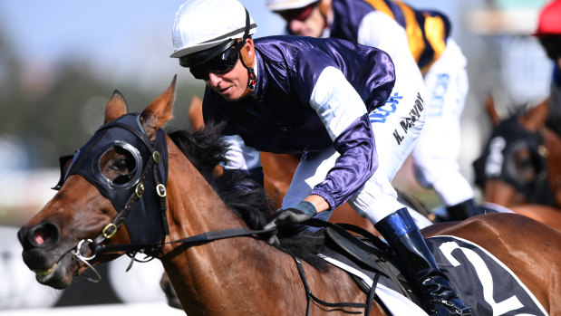 Winner: Kerrin McEvoy boots home Almandin in the Tancred Stakes at Rosehill. 