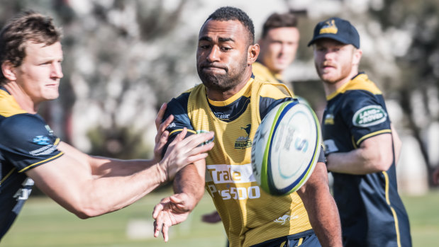 The Brumbies have backed Tevita Kuridrani to get back to his best to burst back into Wallabies contention.