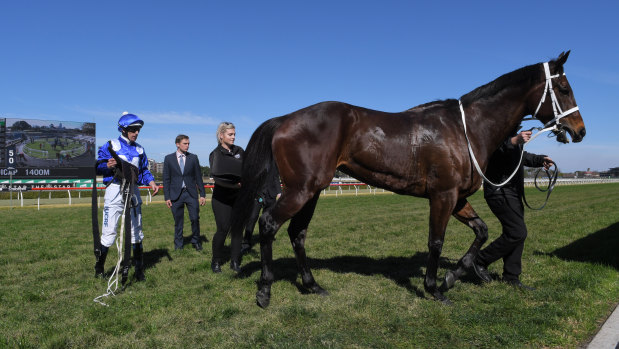 The Queen's back: Winx will look to break Black Caviar's record winning streak in the race named in her honour at Randwick on Saturday