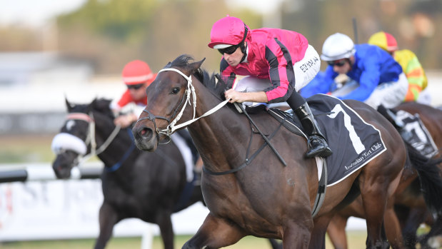 Epsom prospect: Paret has been compared to five-timegroup 1 winner Boban.