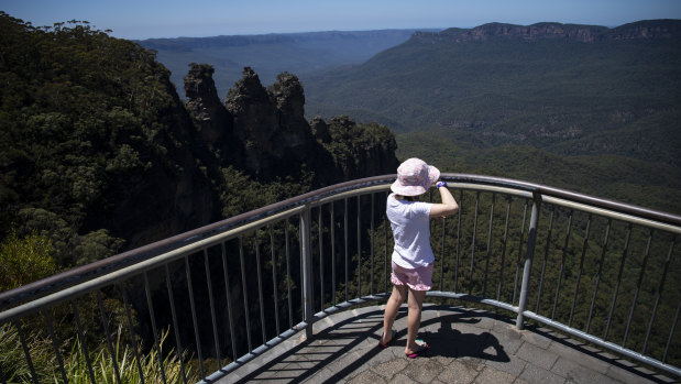 The loss of international travel has had a “devastating” impact on many tourism businesses in the Blue Mountains, said Scenic World managing director Anthea Hammon.
