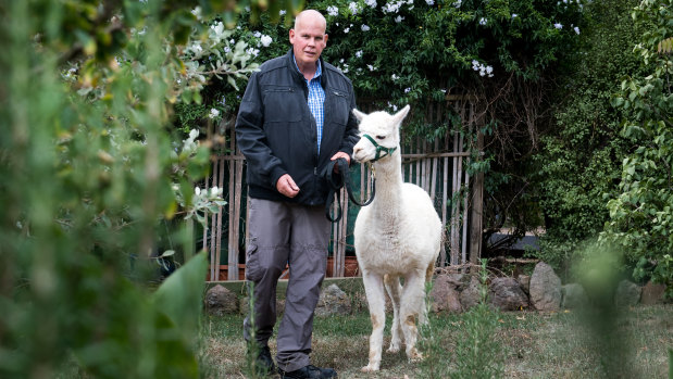 Nils Lantzke at home in Giralang on Wednesday with surviving alpaca Hercules.