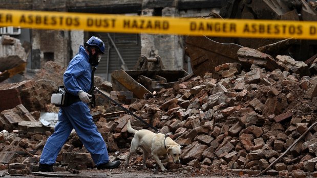 Senior constable David Jarnet with police dog Polar searching the Randle Street site in Surry Hills.