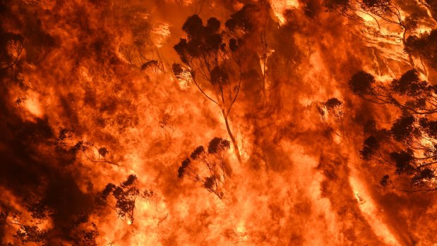 Raging bushfires in Bilpin, NSW, on December 21, 2019.