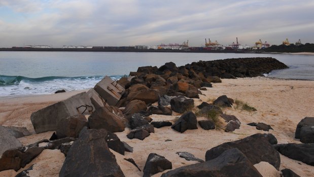 Randwick Council has opposed the plan and wants Yarra Bay Beach listed on the state heritage register.