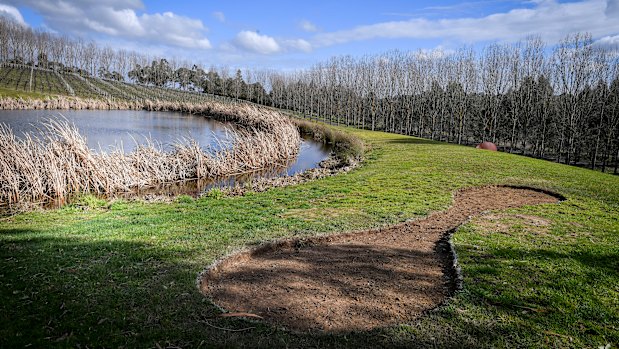 The 'negative space' left in the grass becomes part of the artwork.