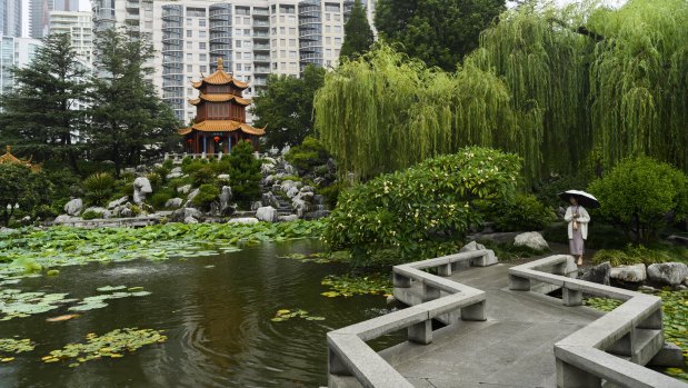 Rain falls at the Chinese Garden of Friendship in Darling Harbour on Saturday.