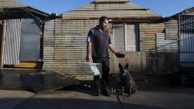 Sydney rat catcher Chris McGreal holds a rat trap at his property in Ingleside.