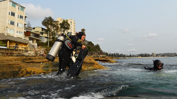 Madelaine Langley and Derrick Cruz climb into Cabbage Tree Bay to monitor crayweed.