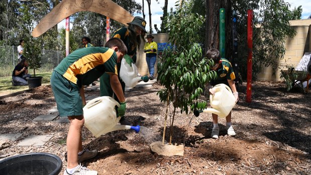 Students from Mary Immaculate Parish Primary School in Eagle Vale plant trees.