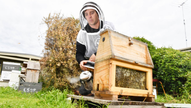 Simon Mulvany is concerned about what effects proposed pesticide spraying will have on his bees.