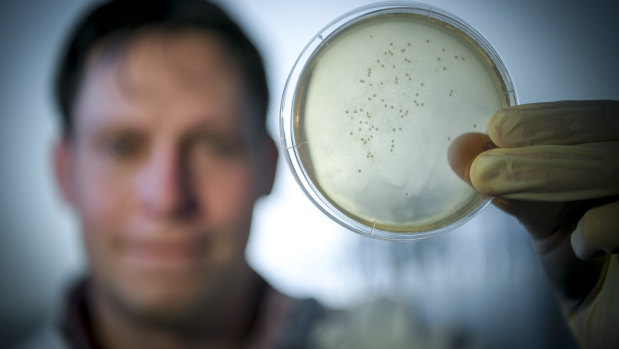 Dr Sam Forster with a dish containing C. diff