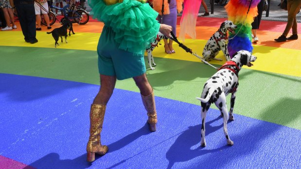 Sydney's rainbow crossing has been re-painted on Bourke Street, near Taylor Square and Oxford Street, in the lead-up to Mardi Gras.