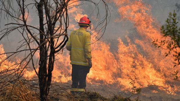 Four homes have been destroyed in Drake, as bushfires continue to blaze across the state. 