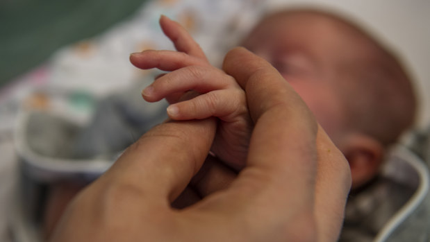 Very premature babies don't have clearly delineated sleep phases compared to babies born at full term, new research has found.