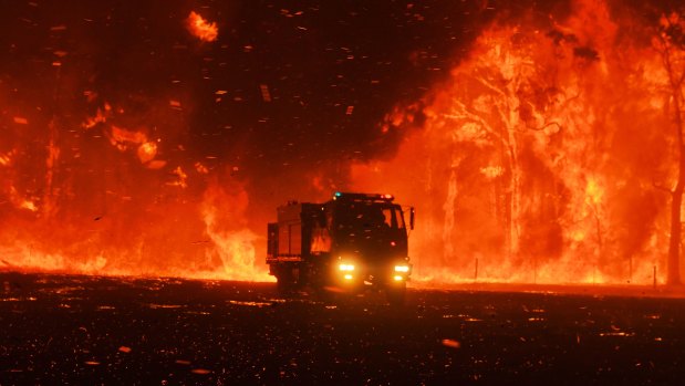 A fire truck pictured during the Green Wattle Creek Fire at Orangeville in late 2019.