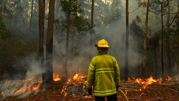 The Morrison government will review emergency medical response systems after the bushfires. 