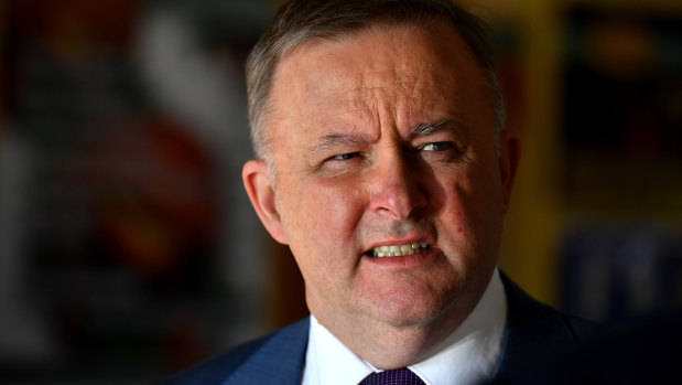 Labor's infrastructure spokesman Anthony Albanese