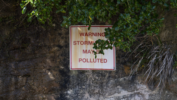 Warning signage at Coogee Beach, which was recently downgraded from "good" to "poor" water quality.