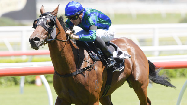 On the up: Adam Hyeronimus pilots Mister Songman to victory  at Randwick  in the famous silks of  Tommy Smith.