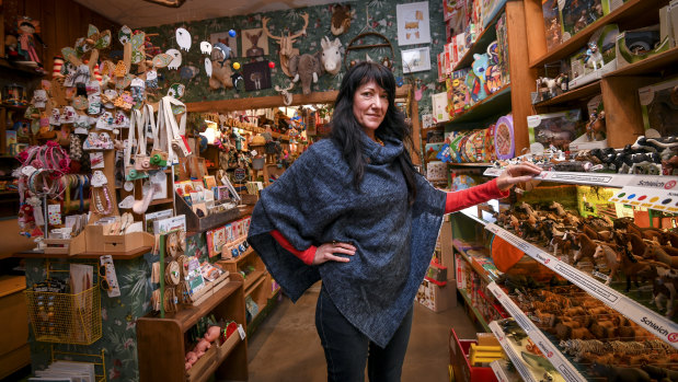 Rachael Arkovits, owner of Treetop Toy Shop.
