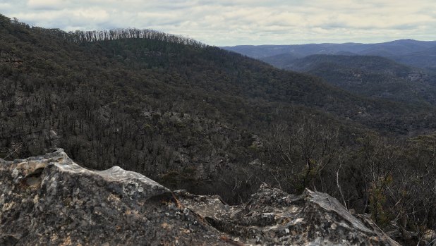 A view of the Blue Mountains area scorched by the bushfires taken from Du Faurs Rocks at Mount Wilson.